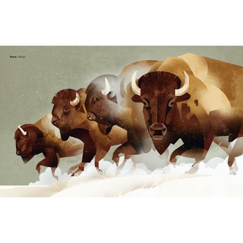 Wild Animals Of The North h/c - Image 2