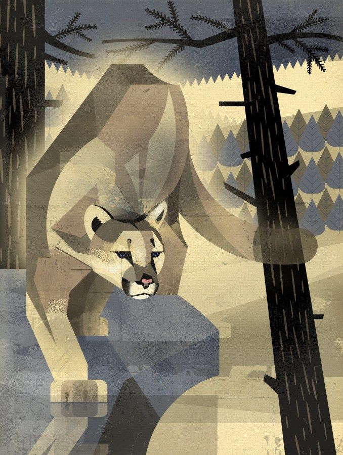 Wild Animals Of The North h/c - Image 3