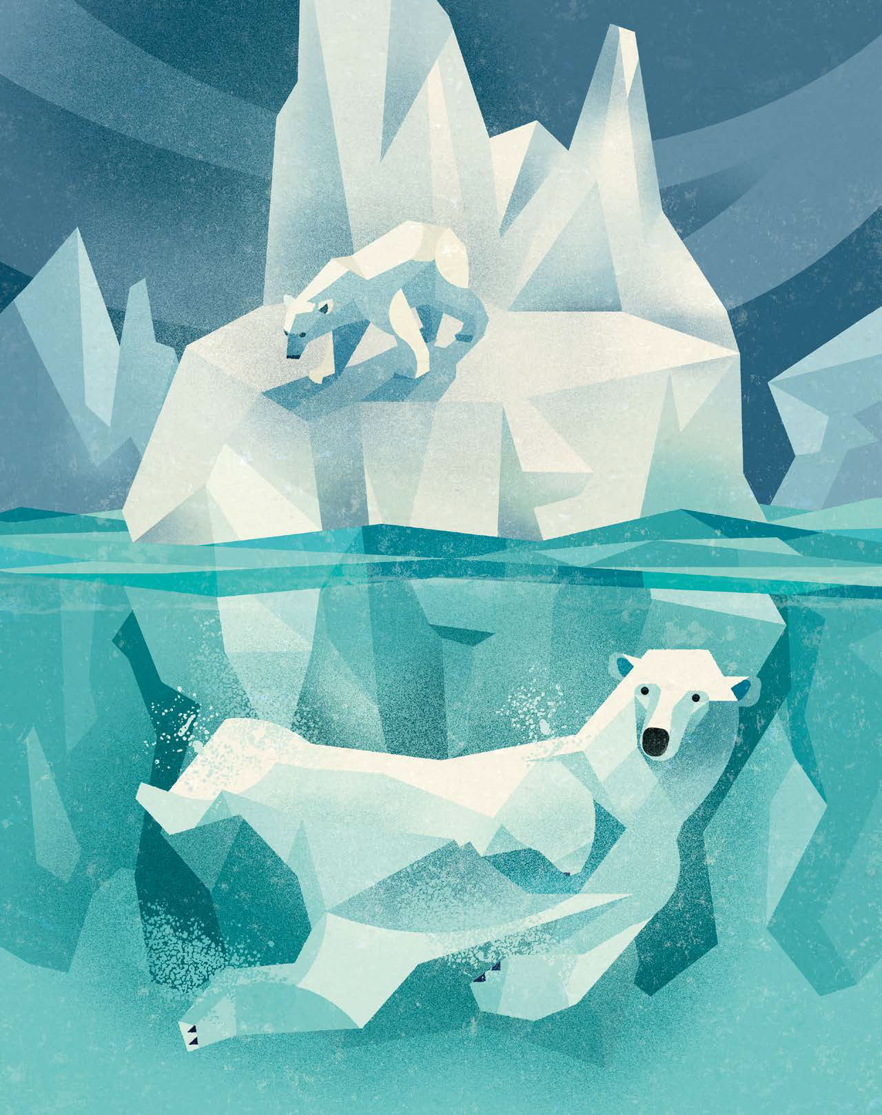 Wild Animals Of The North h/c - Image 4