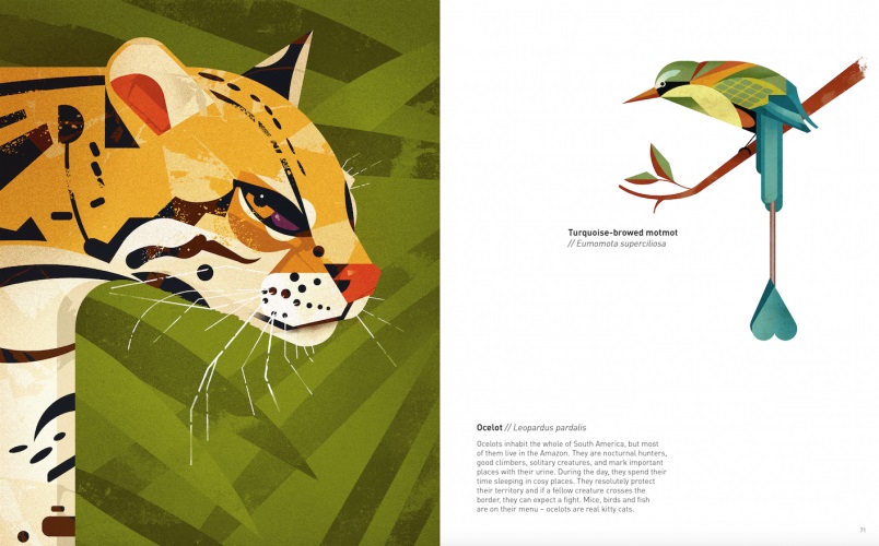 Wild Animals Of The South h/c - Image 2