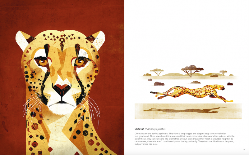 Wild Animals Of The South h/c - Image 4