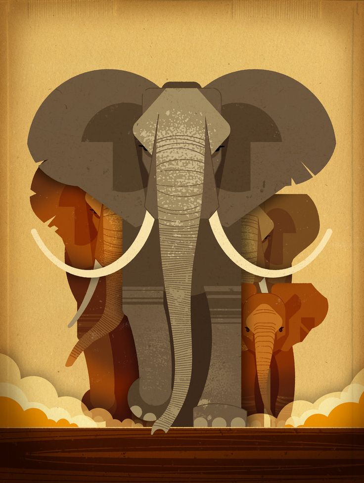 Wild Animals Of The South h/c - Image 6